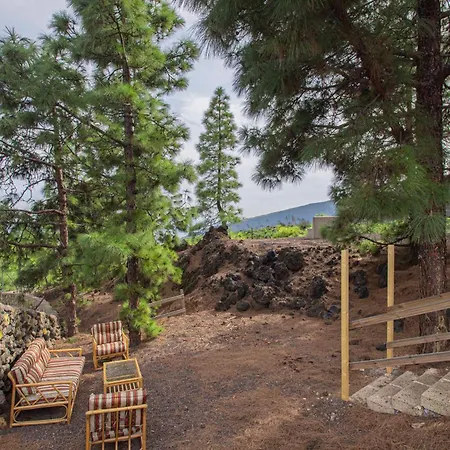 The Pine Forest Cabin شاليه