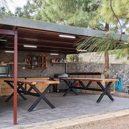The Pine Forest Cabin شاليه Arafo