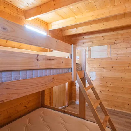 The Pine Forest Cabin شاليه