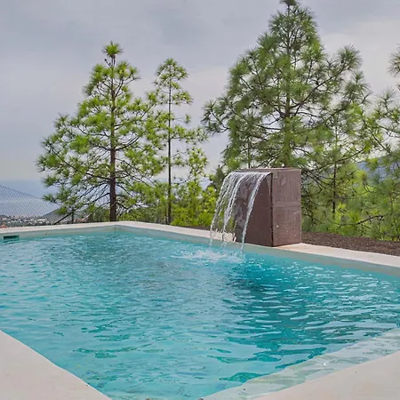 The Pine Forest Cabin شاليه