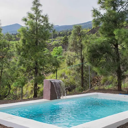 The Pine Forest Cabin شاليه Arafo